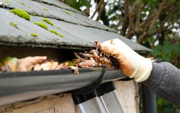 gutter cleaning Canbus, Clackmannanshire