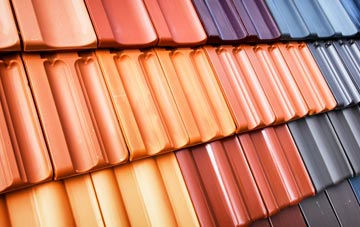 Canbus roof tile costs