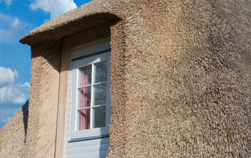 Canbus thatch roof disadvantages